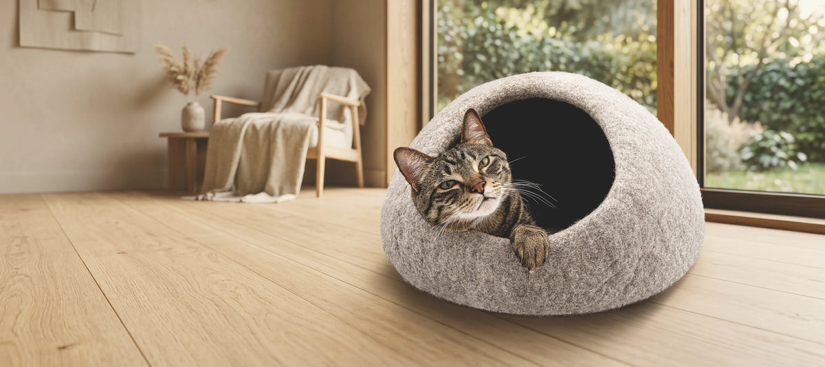 Katzenbetten