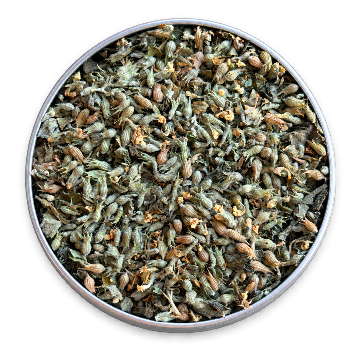 A top-down view of dried catnip flower buds, packed inside a round silver metal tin against a white background.