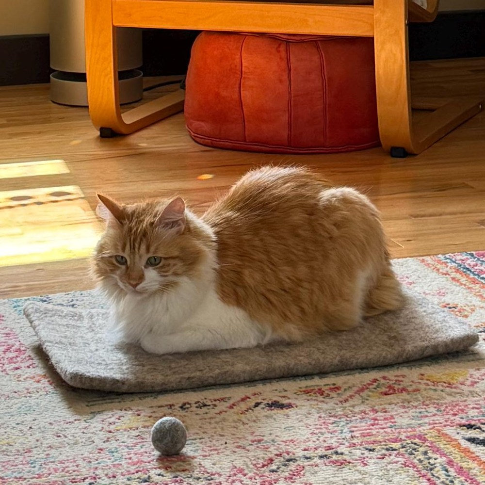 Wool Cat Carrier Mat