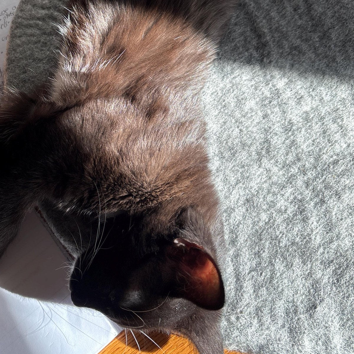 Self-Warming Wool Cat Mat