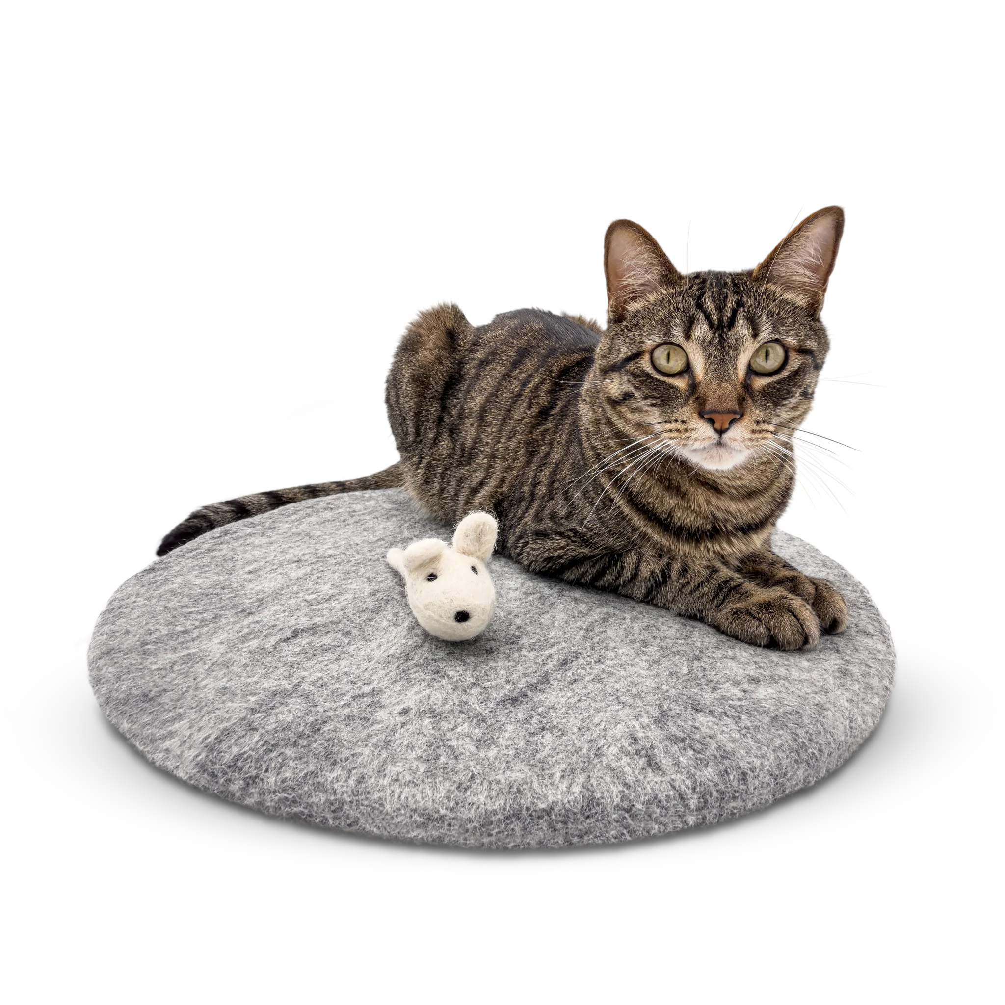 Tabby cat lying on a round grey felted wool cat bed with a small white mouse toy.