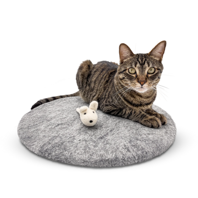 Tabby cat lying on a round grey felted wool cat bed with a small white mouse toy.