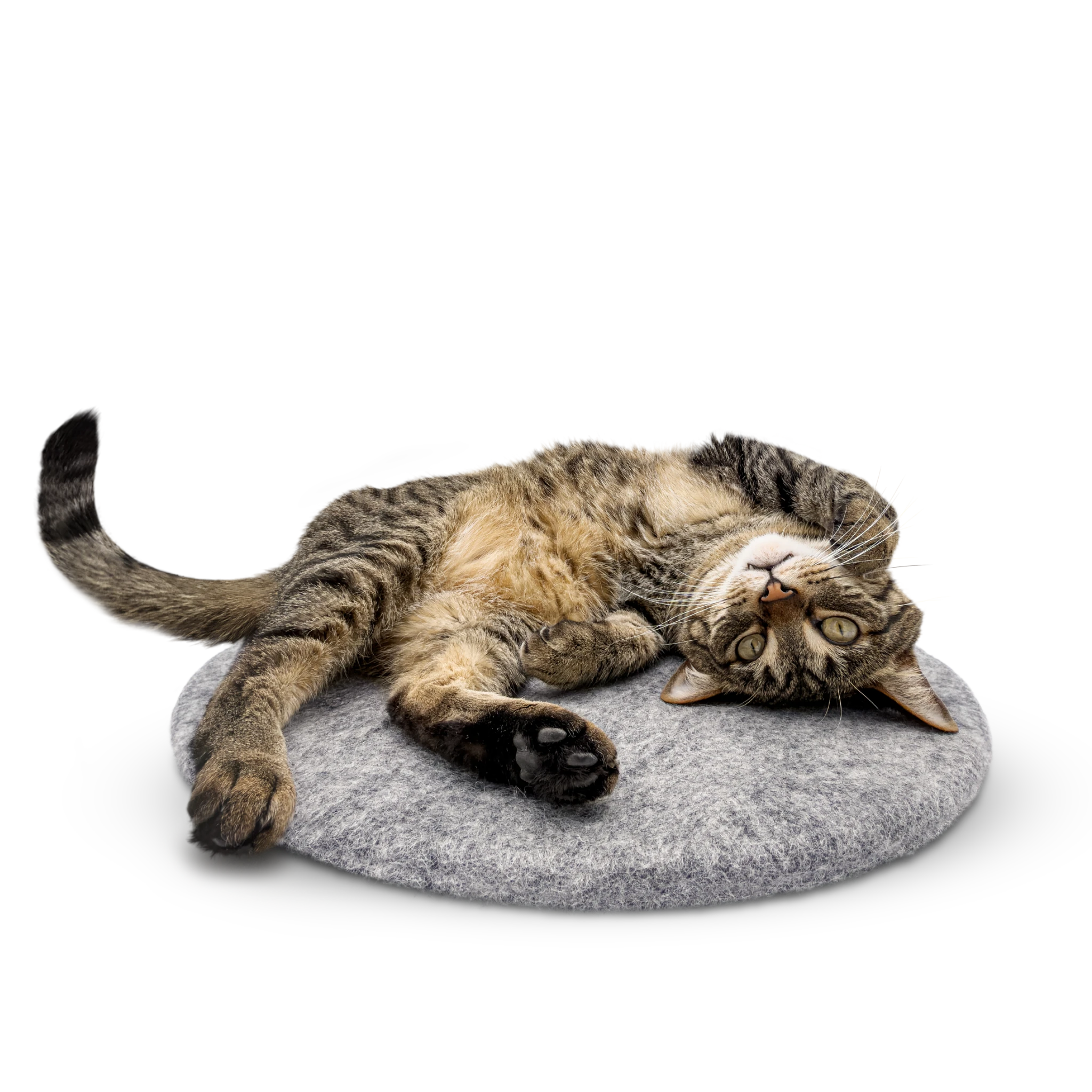 Tabby cat stretched out and relaxing on a round grey felted wool cat bed on a white background.