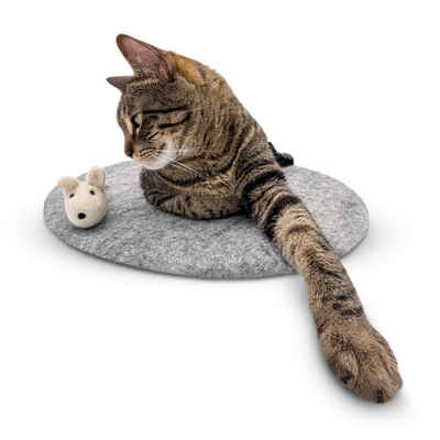 Tabby cat playing with a white mouse toy on a round grey felted wool cat bed.