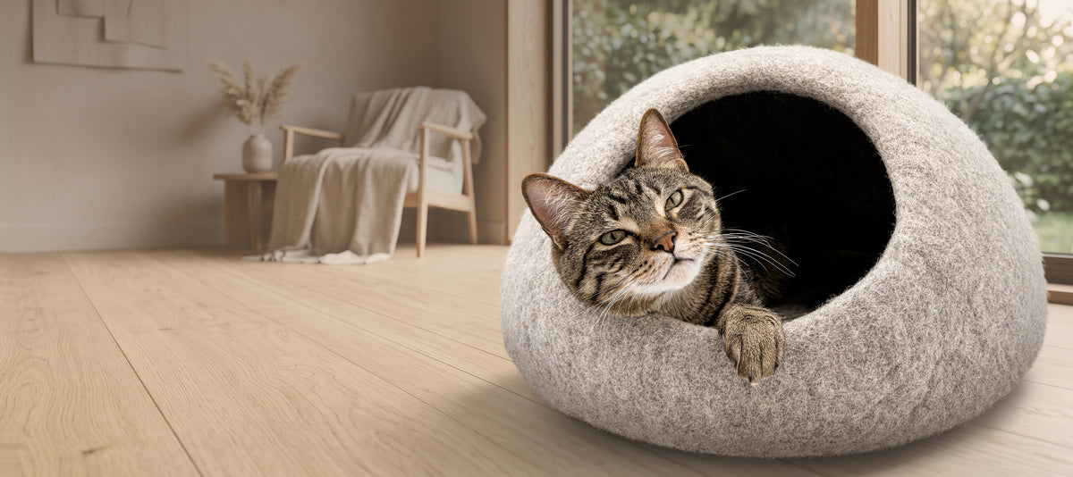 A tabby cat rests inside a round, dome-shaped felt cat cave bed on a light wood floor in a cozy, sunlit room.