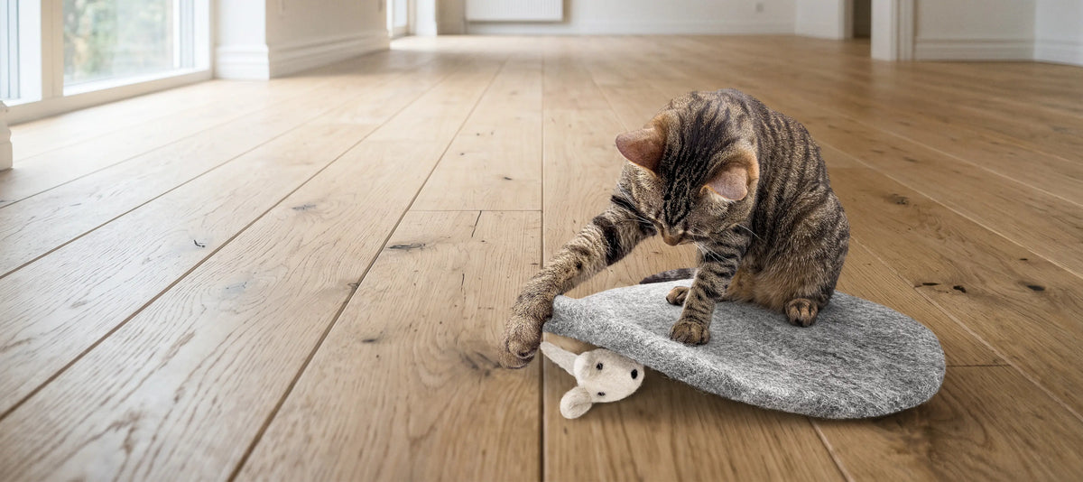 A brown tabby cat playing with a gray felt cat mouse toy on a light wood floor in a bright room. 