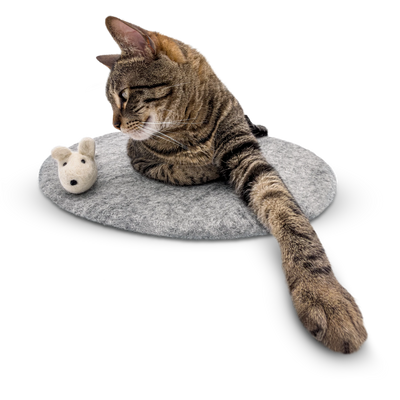 Tabby cat lounging on a round grey wool mat with a white felted wool mouse toy on a light background.