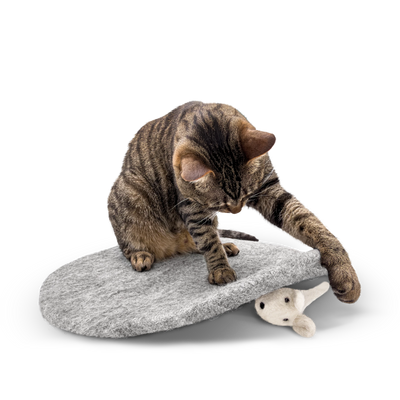 Tabby cat sitting on round grey wool mat playing with mouse toy on a light background.