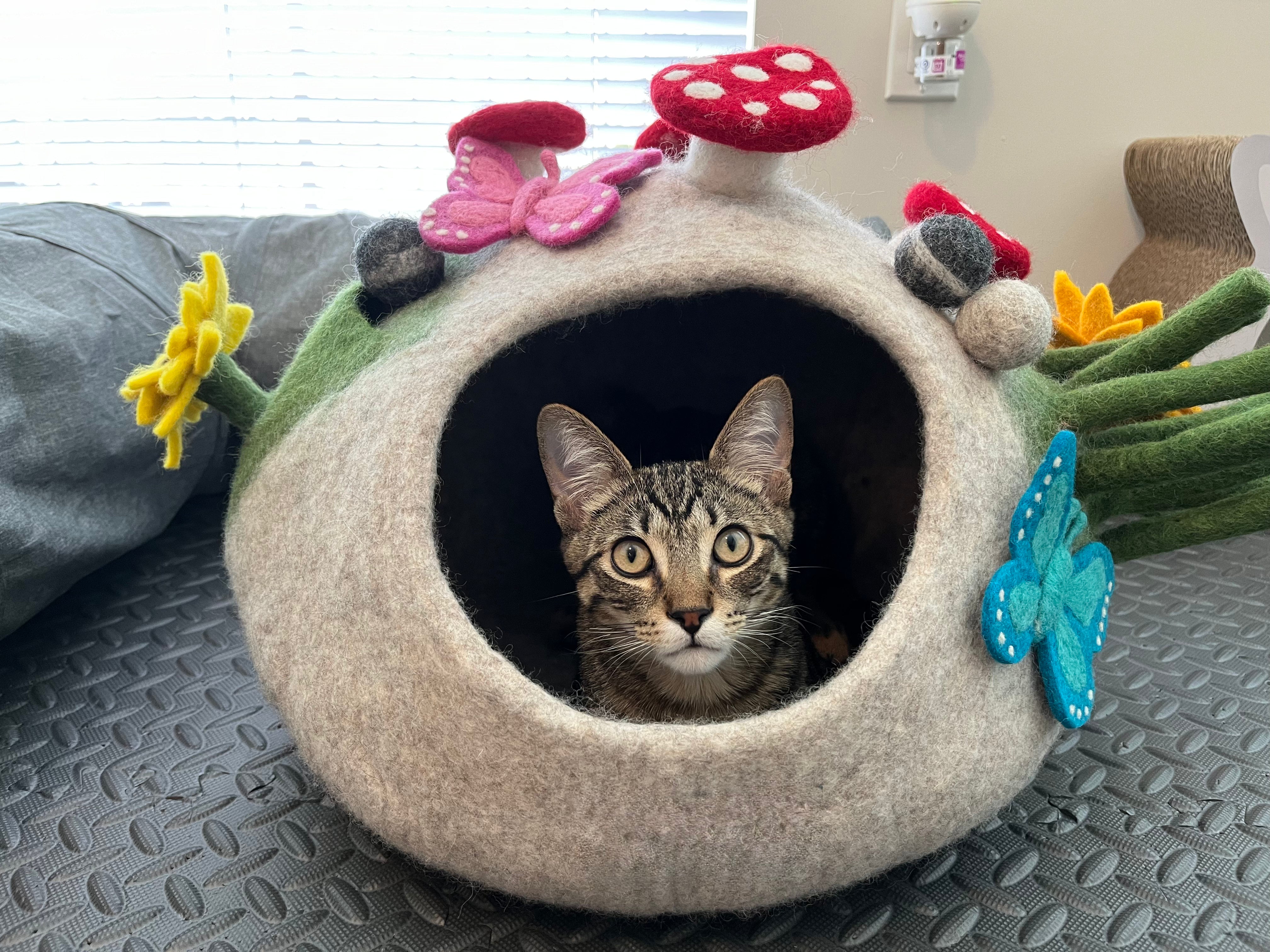 Tabby cat sitting inside a handmade felt mushroom cat bed decorated with red mushrooms, butterflies and yellow flowers