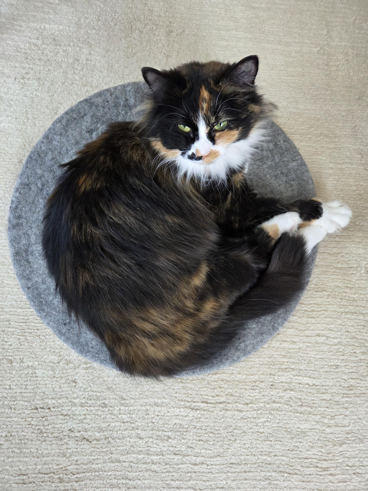 Self Warming Cat Mat