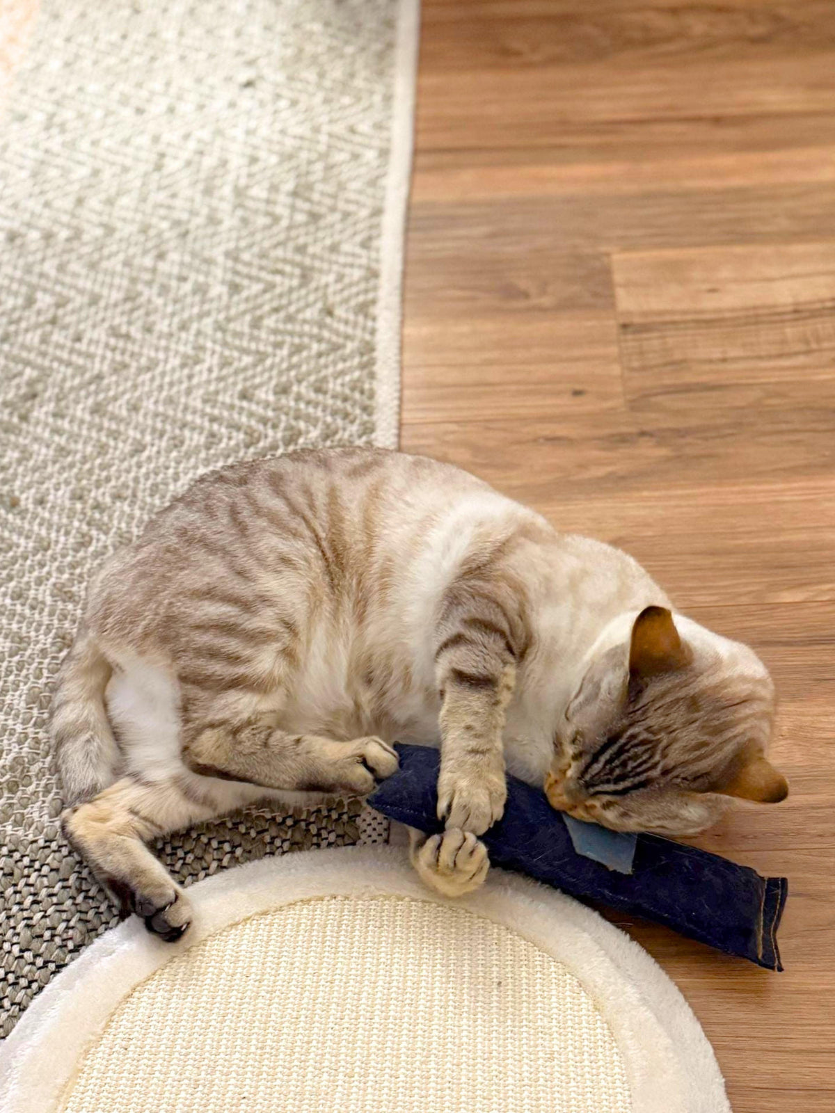 Cat Kicker Toy Set