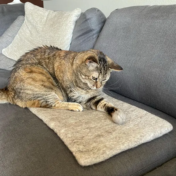 Wool Cat Carrier Mat