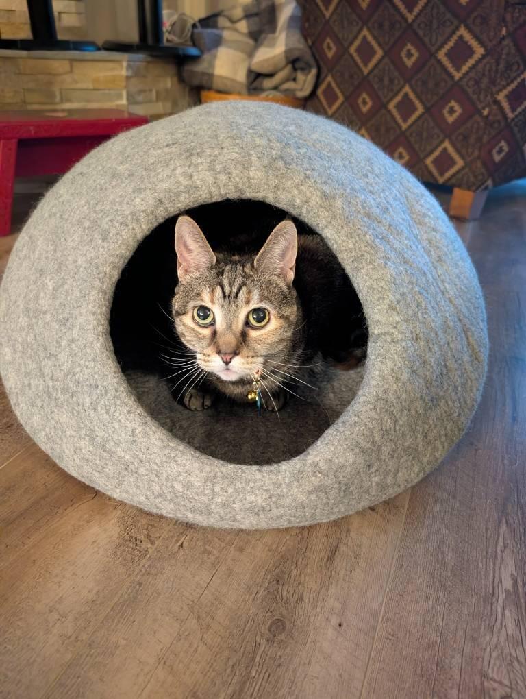 Wool Cat Cave Bed
