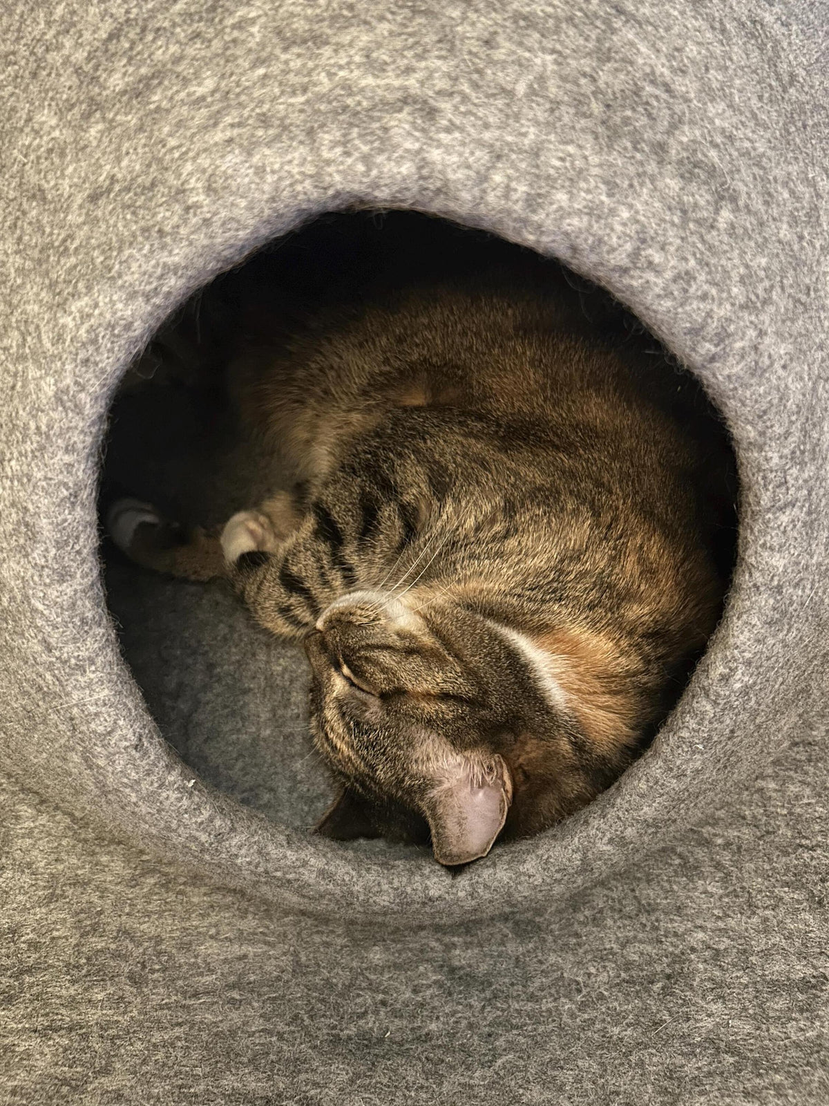 Wool Cat Cave Bed