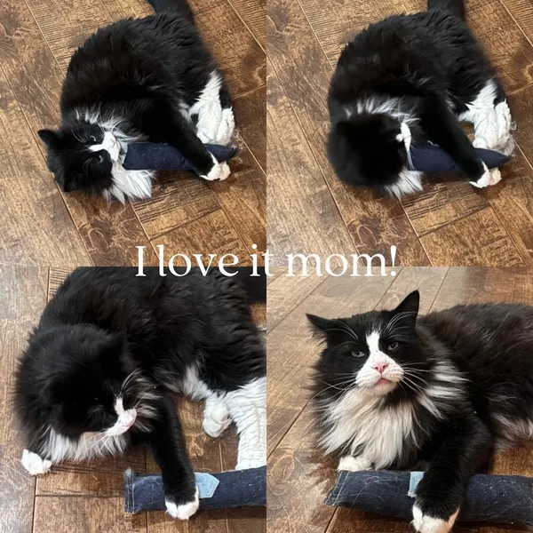 Cat Kicker Toy Set